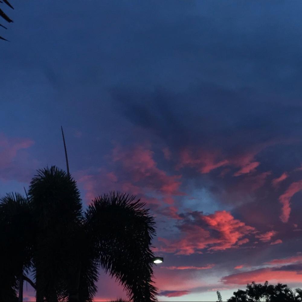 Meet your Posher, Bryanna